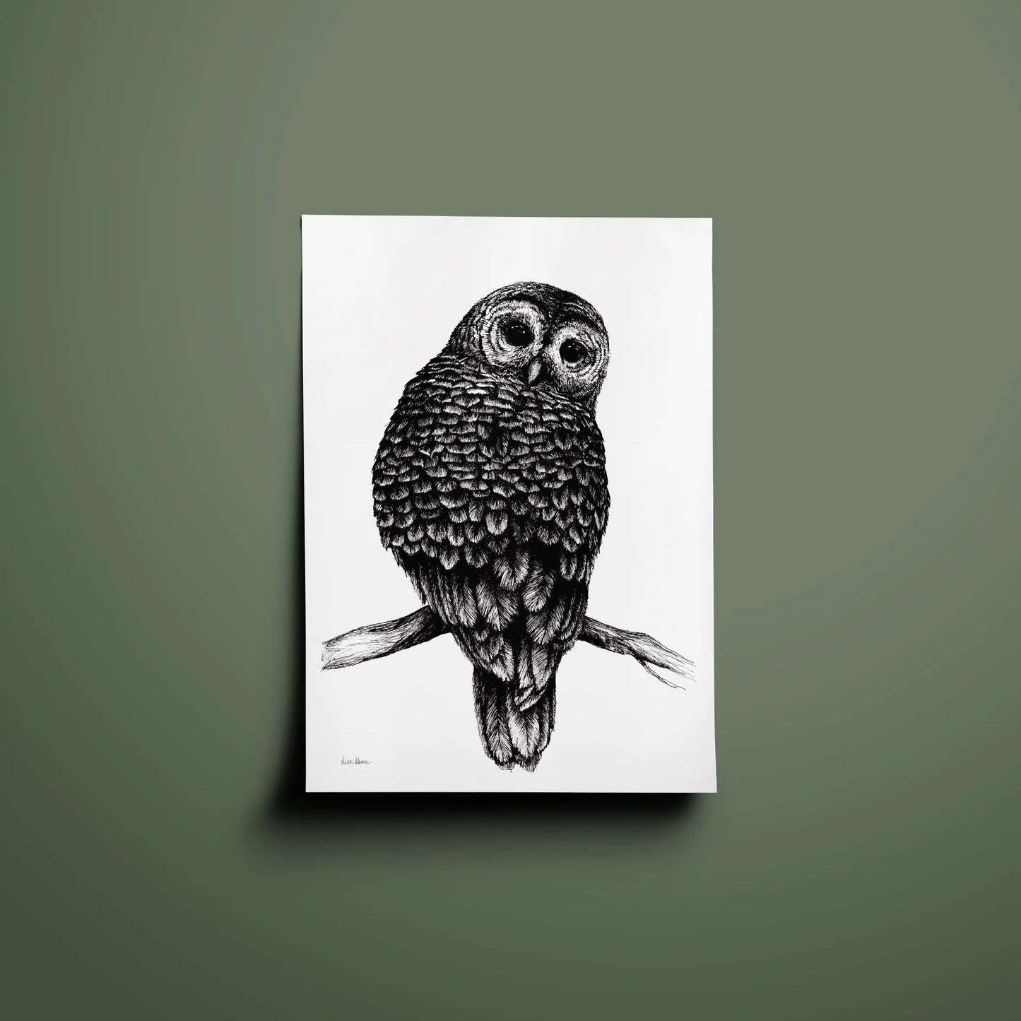 The Watching Owl